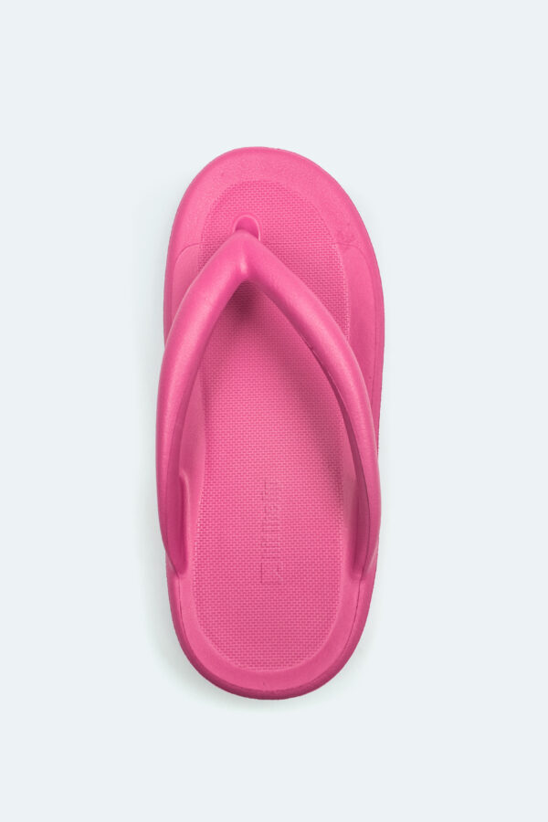 Slipper Flamingo - Image 3