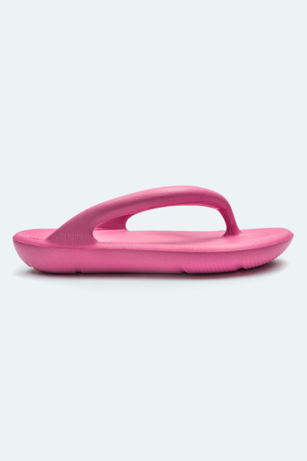 Slipper Flamingo