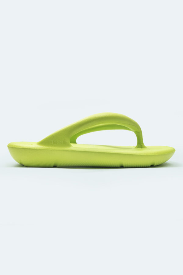 Slipper Lime