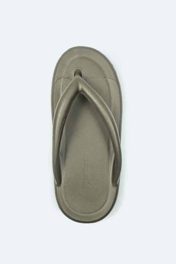 Slipper Moss - Image 3