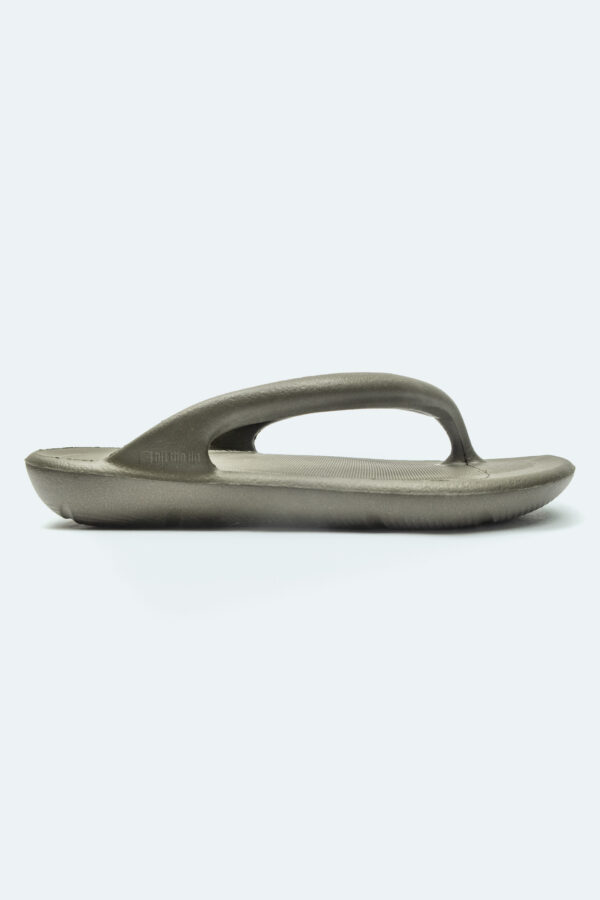 Slipper Moss