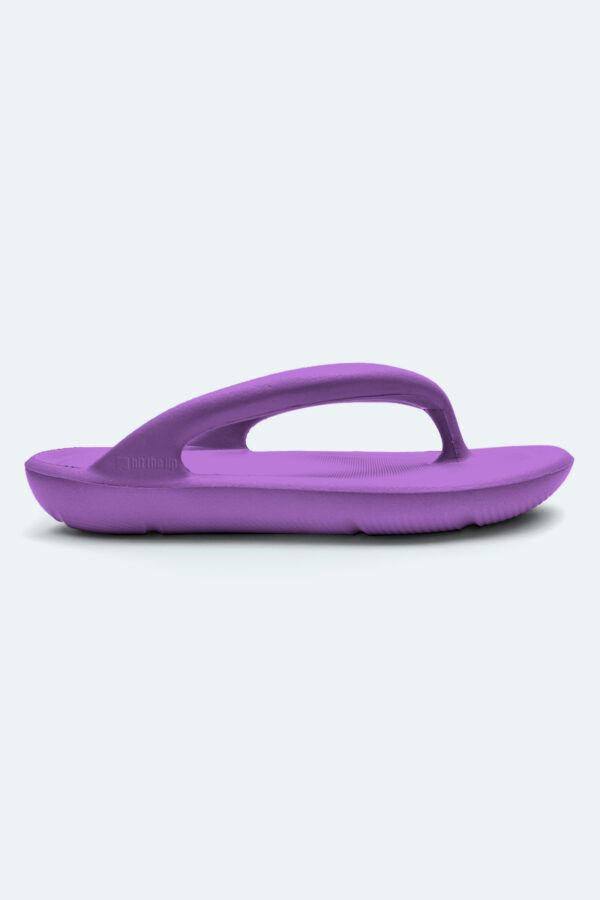 Slipper Lilac